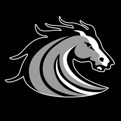 Stockdale High School Logo